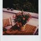 POLAROID ONE 600