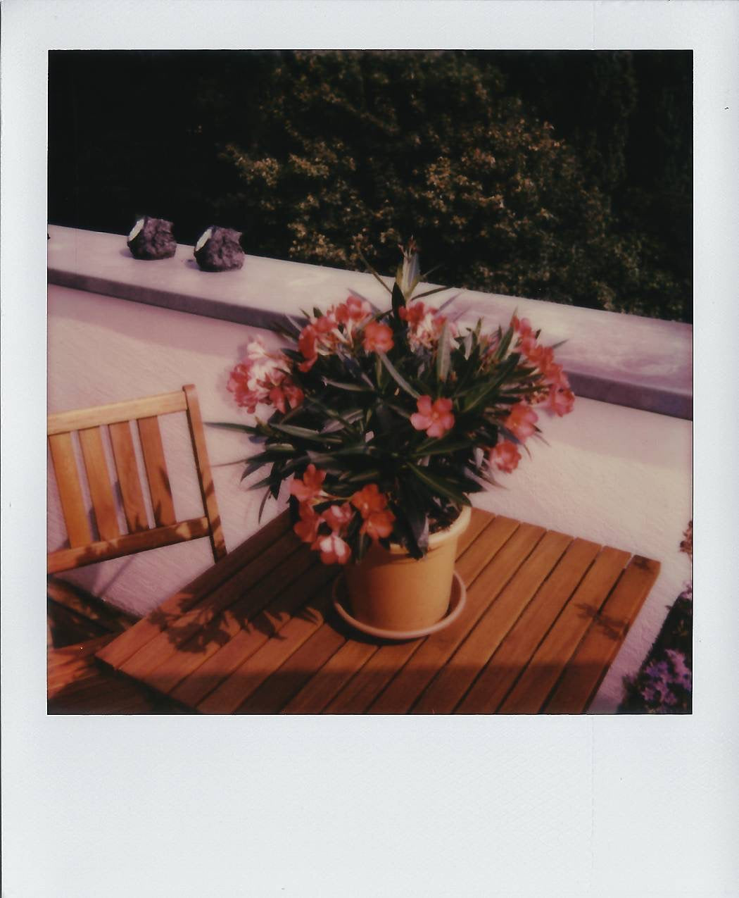 POLAROID ONE 600