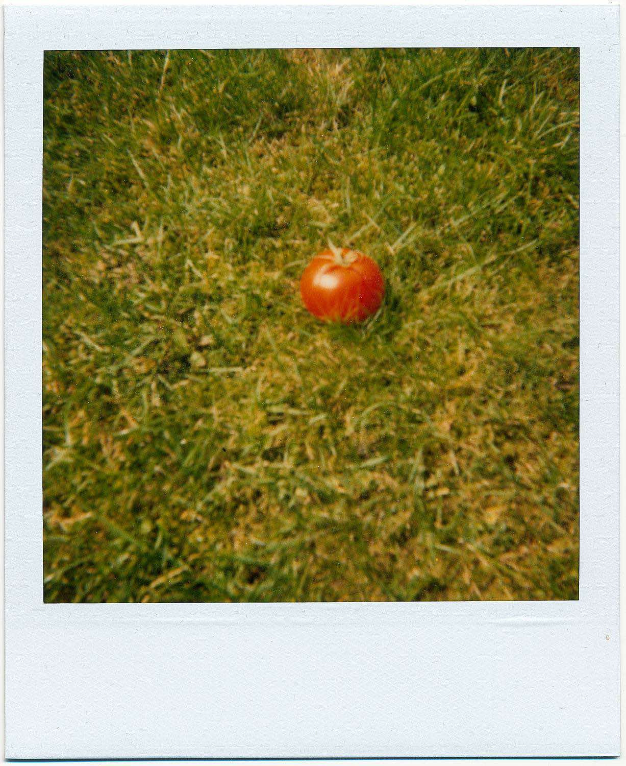 POLAROID SPIRIT 600 CL