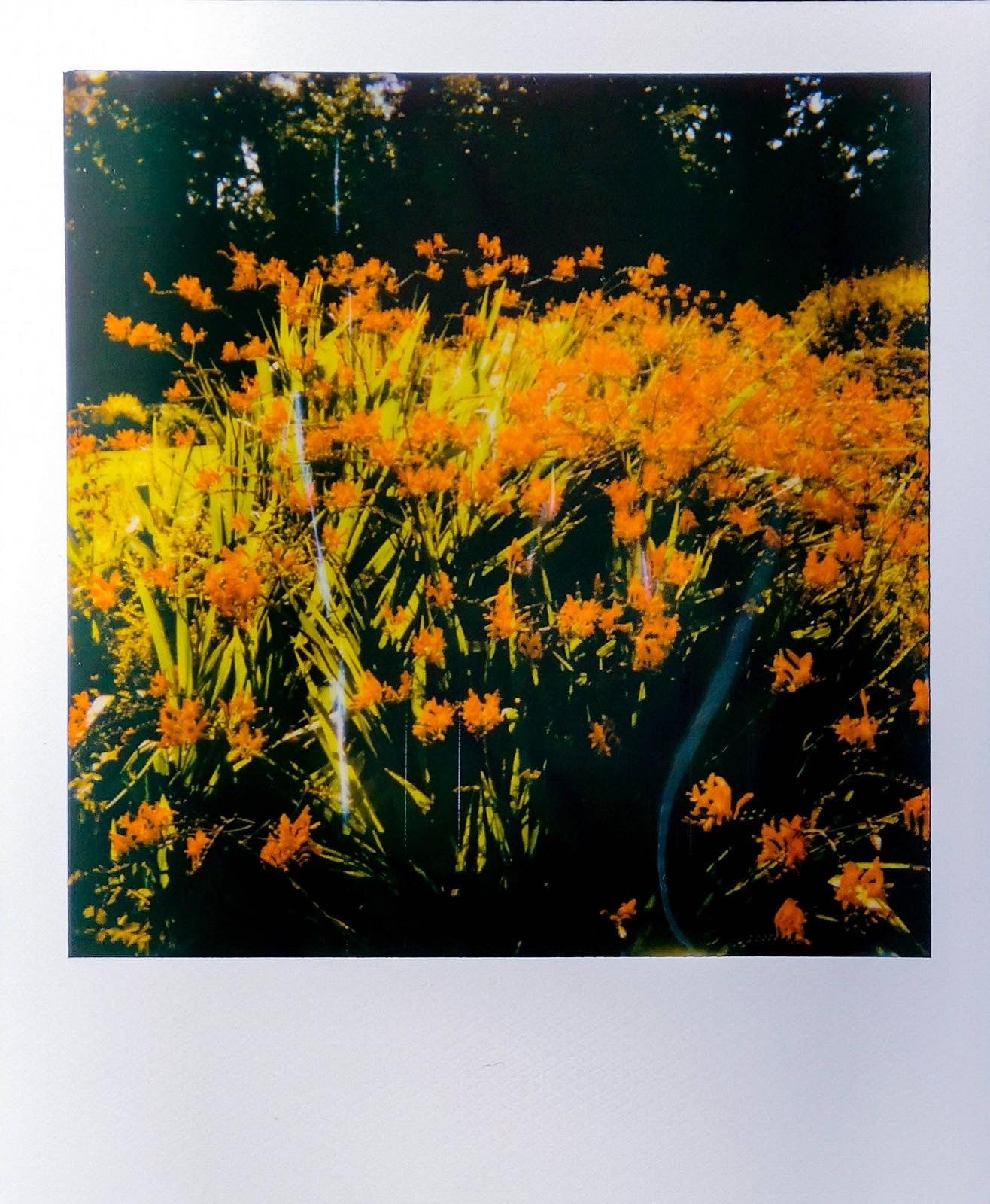 POLAROID SUPERCOLOR 635