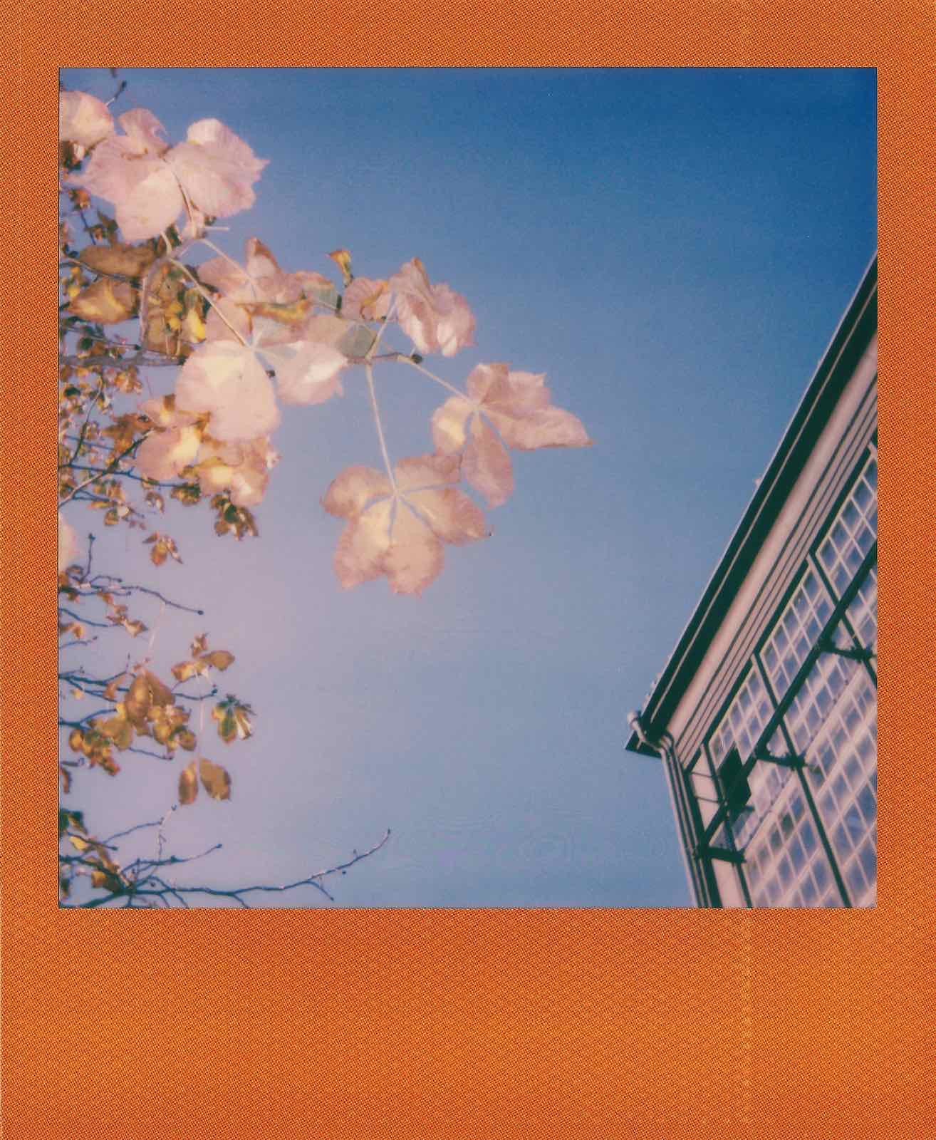 POLAROID ONE 600