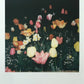 POLAROID CLOSE-UP 636